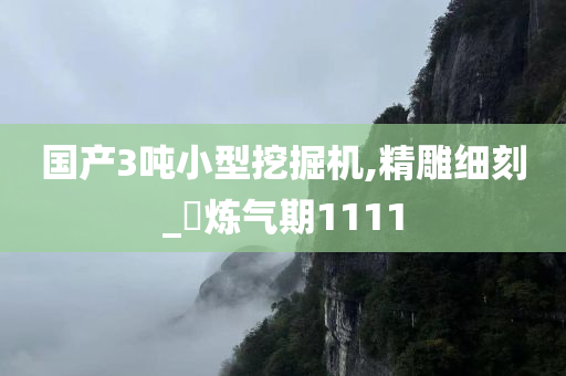 国产3吨小型挖掘机,精雕细刻_‌炼气期1111