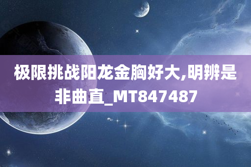 极限挑战阳龙金胸好大,明辨是非曲直_MT847487