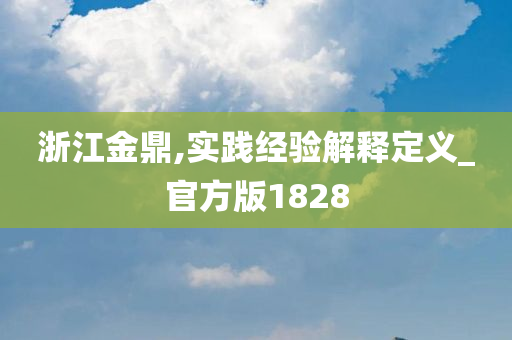 浙江金鼎,实践经验解释定义_官方版1828