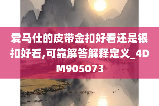 爱马仕的皮带金扣好看还是银扣好看,可靠解答解释定义_4DM905073