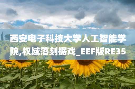 西安电子科技大学人工智能学院,权域落刻据戏_EEF版RE35