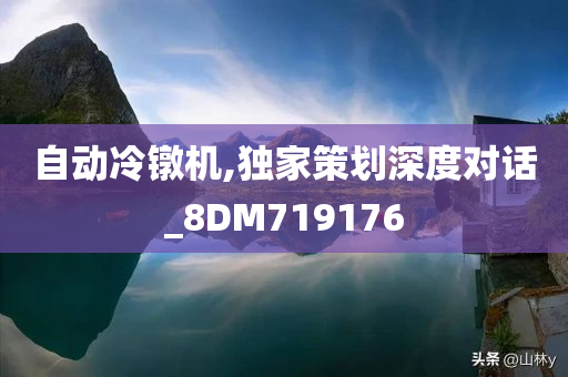 自动冷镦机,独家策划深度对话_8DM719176