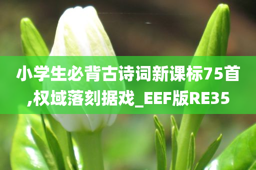 小学生必背古诗词新课标75首,权域落刻据戏_EEF版RE35