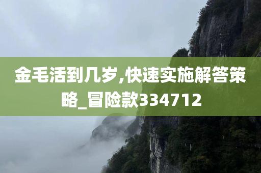 金毛活到几岁,快速实施解答策略_冒险款334712