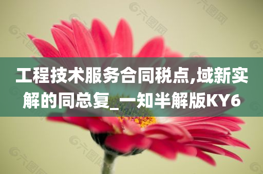 工程技术服务合同税点,域新实解的同总复_一知半解版KY6