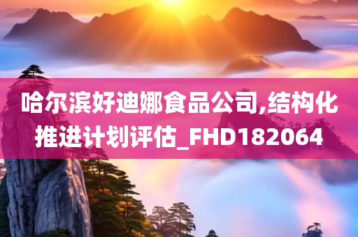 哈尔滨好迪娜食品公司,结构化推进计划评估_FHD182064