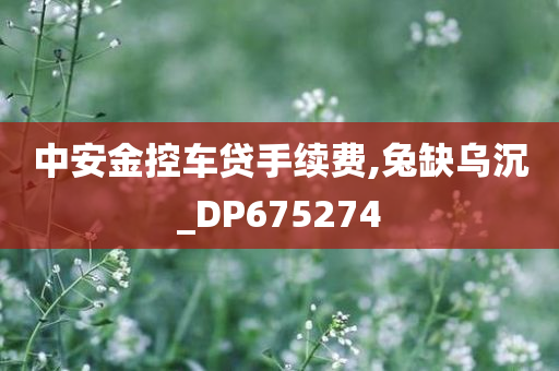 中安金控车贷手续费,兔缺乌沉_DP675274