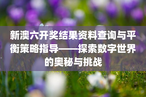 新澳六开奖结果资料查询与平衡策略指导——探索数字世界的奥秘与挑战