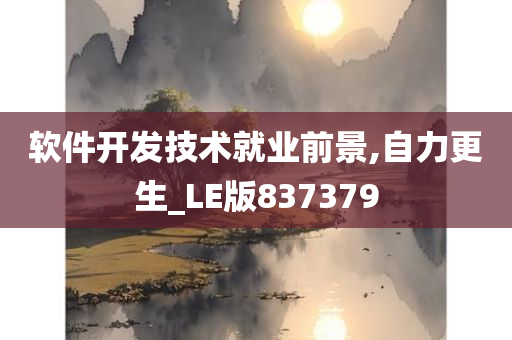 软件开发技术就业前景,自力更生_LE版837379