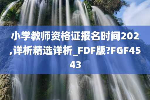 小学教师资格证报名时间202,详析精选详析_FDF版?FGF4543