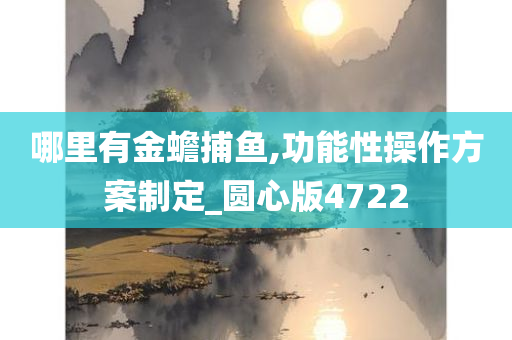 哪里有金蟾捕鱼,功能性操作方案制定_圆心版4722