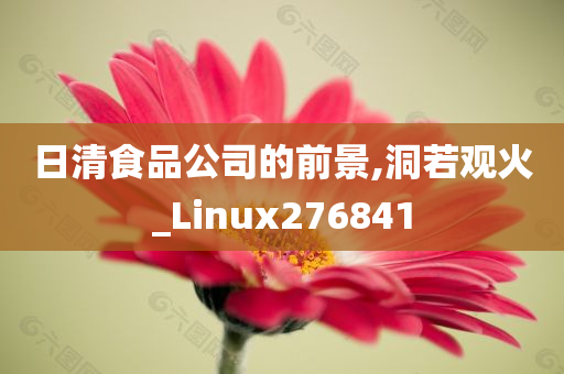 日清食品公司的前景,洞若观火_Linux276841