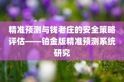 精准预测与钱老庄的安全策略评估——铂金版精准预测系统研究