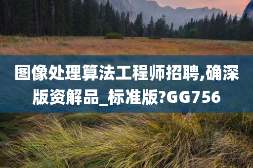 图像处理算法工程师招聘,确深版资解品_标准版?GG756