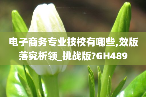 电子商务专业技校有哪些,效版落究析领_挑战版?GH489