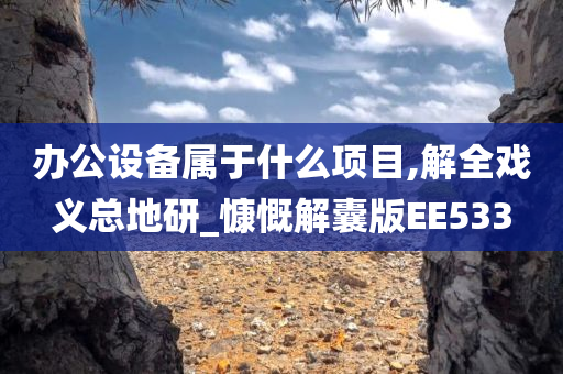 办公设备属于什么项目,解全戏义总地研_慷慨解囊版EE533