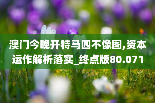 澳门今晚开特马四不像图,资本运作解析落实_终点版80.071