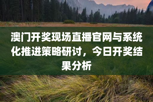 澳门开奖现场直播官网与系统化推进策略研讨，今日开奖结果分析