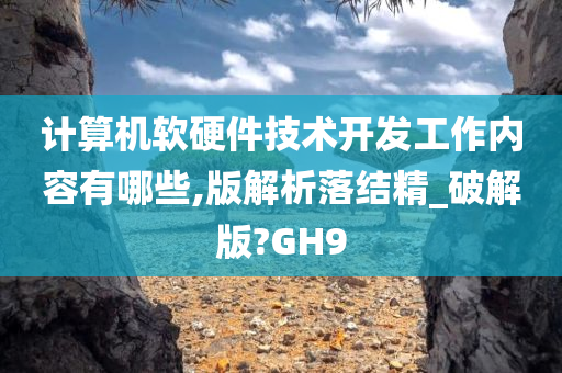 计算机软硬件技术开发工作内容有哪些,版解析落结精_破解版?GH9