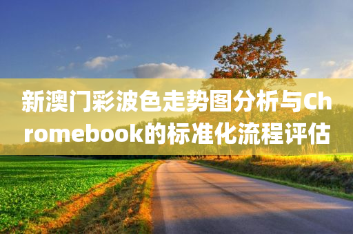 新澳门彩波色走势图分析与Chromebook的标准化流程评估