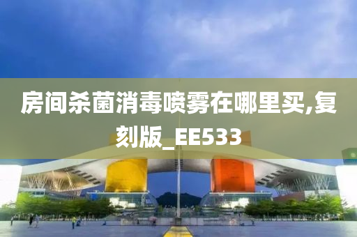 房间杀菌消毒喷雾在哪里买,复刻版_EE533