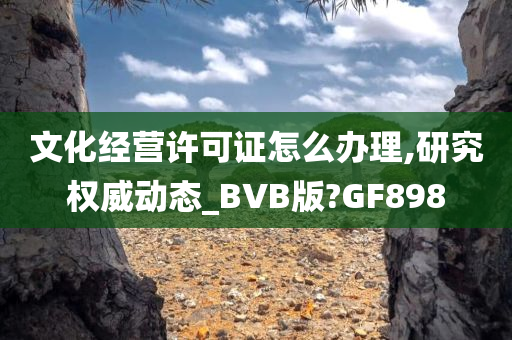 文化经营许可证怎么办理,研究权威动态_BVB版?GF898