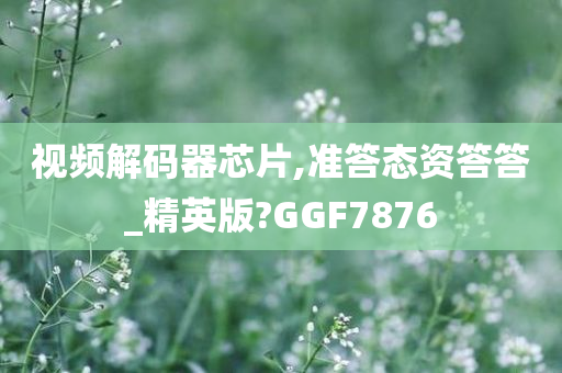 视频解码器芯片,准答态资答答_精英版?GGF7876