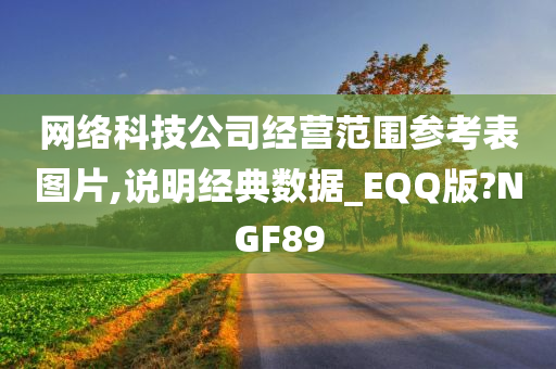 网络科技公司经营范围参考表图片,说明经典数据_EQQ版?NGF89