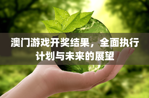 澳门游戏开奖结果，全面执行计划与未来的展望