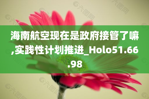 海南航空现在是政府接管了嘛,实践性计划推进_Holo51.66.98