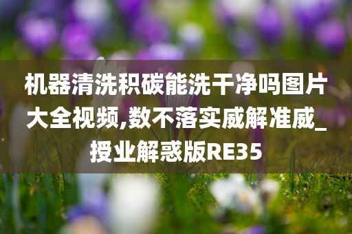 机器清洗积碳能洗干净吗图片大全视频,数不落实威解准威_授业解惑版RE35