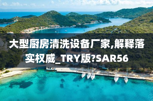 大型厨房清洗设备厂家,解释落实权威_TRY版?SAR56