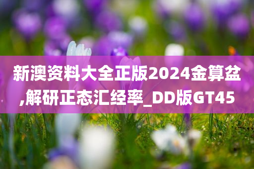 新澳资料大全正版2024金算盆,解研正态汇经率_DD版GT45