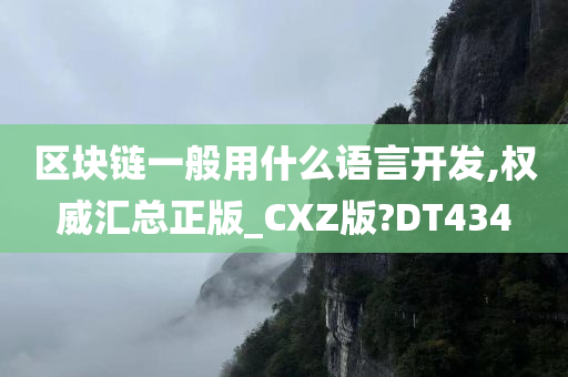 区块链一般用什么语言开发,权威汇总正版_CXZ版?DT434