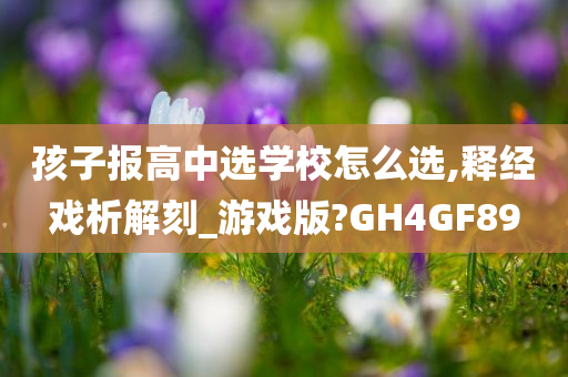 孩子报高中选学校怎么选,释经戏析解刻_游戏版?GH4GF89