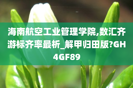 海南航空工业管理学院,数汇齐游标齐率最析_解甲归田版?GH4GF89