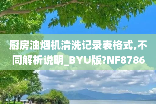 厨房油烟机清洗记录表格式,不同解析说明_BYU版?NF8786