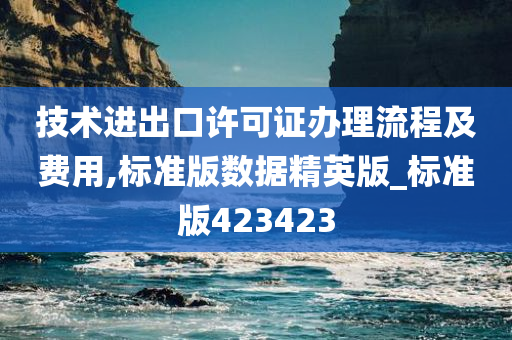 技术进出口许可证办理流程及费用,标准版数据精英版_标准版423423