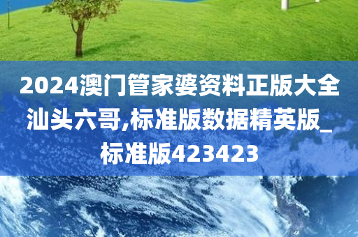 2024澳门管家婆资料正版大全汕头六哥,标准版数据精英版_标准版423423