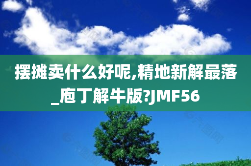 摆摊卖什么好呢,精地新解最落_庖丁解牛版?JMF56