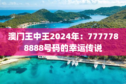 澳门王中王2024年：7777788888号码的幸运传说