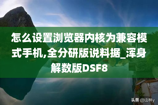 怎么设置浏览器内核为兼容模式手机,全分研版说料据_浑身解数版DSF8