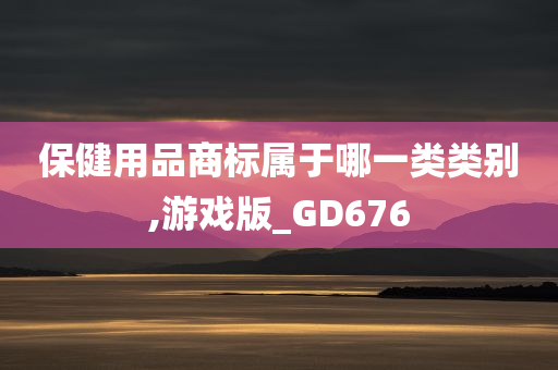 保健用品商标属于哪一类类别,游戏版_GD676