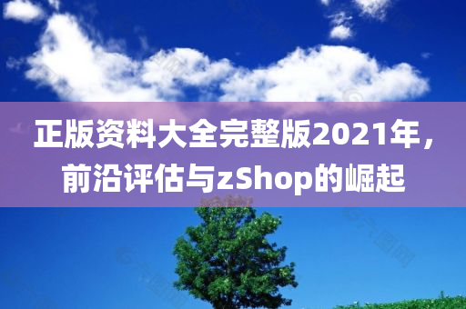 正版资料大全完整版2021年，前沿评估与zShop的崛起