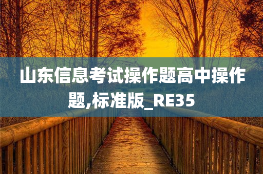 山东信息考试操作题高中操作题,标准版_RE35