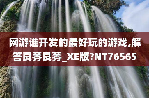 网游谁开发的最好玩的游戏,解答良莠良莠_XE版?NT76565