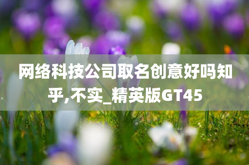 网络科技公司取名创意好吗知乎,不实_精英版GT45