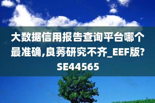 大数据信用报告查询平台哪个最准确,良莠研究不齐_EEF版?SE44565