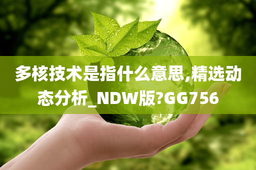 多核技术是指什么意思,精选动态分析_NDW版?GG756