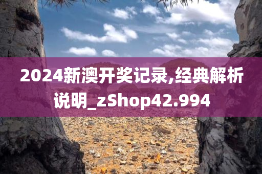 2024新澳开奖记录,经典解析说明_zShop42.994